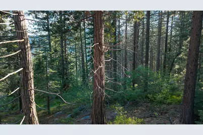 15444 Cedar Point Drive, Truckee, CA 96161 - Photo 15