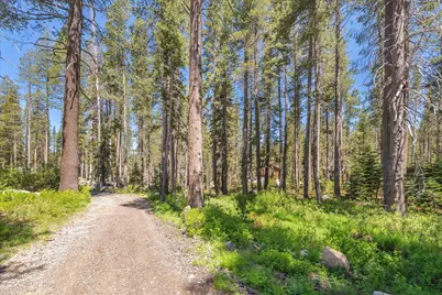 21898 Yuba Trail, Soda Springs, CA 95728 - Photo 1