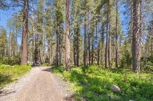 21898 Yuba Trl, Soda Springs, CA 95728 - Photo 1