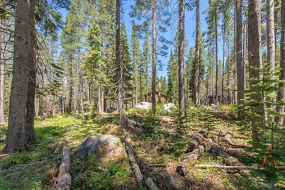 21898 Yuba Trail, Soda Springs, CA 95728 - Photo 9