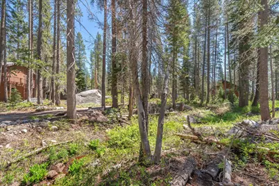 21898 Yuba Trail, Soda Springs, CA 95728 - Photo 13
