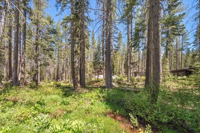 21898 Yuba Trail, Soda Springs, CA 95728 - Photo 7