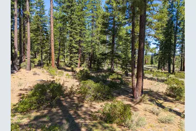 110 Bob Watson, Truckee, CA 96161 - Photo 7