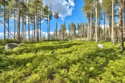 22028 Lotta Crabtree, Soda Springs, CA 95728 - Photo 5