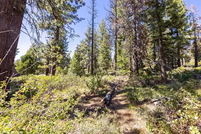 3100 North Lake Boulevard, Tahoe City, CA 96145 - Photo 21