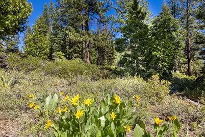 3100 North Lake Boulevard, Tahoe City, CA 96145 - Photo 7