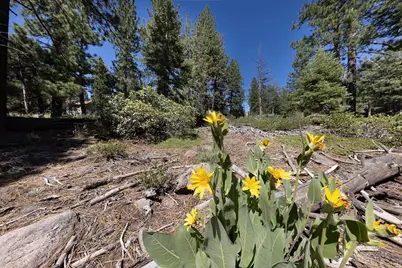 3100 North Lake Boulevard, Tahoe City, CA 96145 - Photo 17