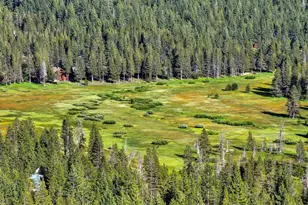 11933 Chamonix Rd, Truckee, CA 96161 - Photo 25