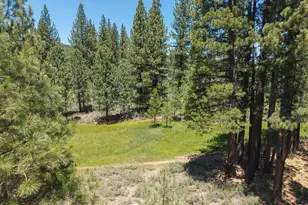 10100 Pioneer Trail, Truckee, CA 96161 - Photo 5