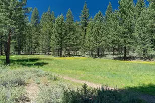 10100 Pioneer Trail, Truckee, CA 96161 - Photo 7