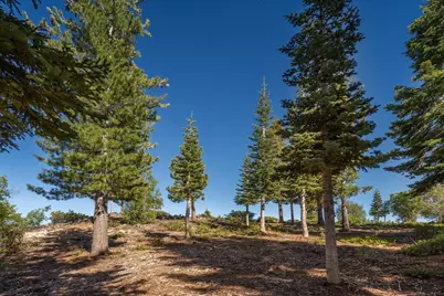 15573 Glacier Way, Truckee, CA 96161 - Photo 17
