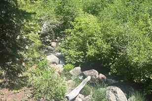 2337 Bear Falls Ln, Alpine Meadows, CA 96146 - Photo 19
