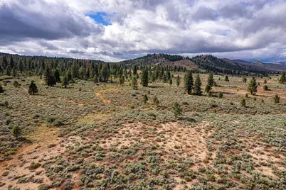 2990 Segundo Road, Beckwourth, CA 96129 - Photo 25