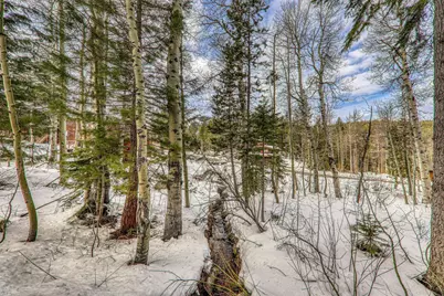 1018 Snow Crest Road, Alpine Meadows, CA 96146 - Photo 25