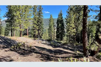 019-080-023-000 Groundhog Rock, Sierraville, CA 96126 - Photo 3
