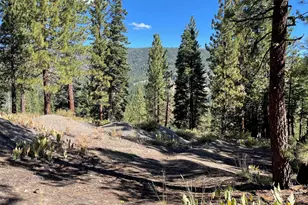 019-080-023-000 Groundhog Rock, Sierraville, CA 96126 - Photo 3