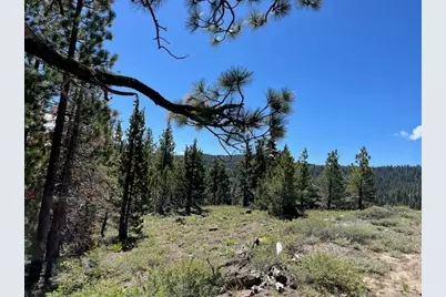 019-080-023-000 Groundhog Rock, Sierraville, CA 96126 - Photo 21