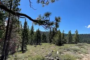 019-080-023-000 Groundhog Rock, Sierraville, CA 96126 - Photo 21
