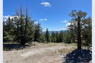 019-080-023-000 Groundhog Rock, Sierraville, CA 96126 - Photo 13