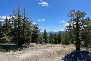 019-080-023-000 Groundhog Rock, Sierraville, CA 96126 - Photo 13