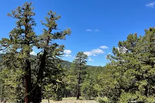 019-080-023-000 Groundhog Rock, Sierraville, CA 96126 - Photo 17