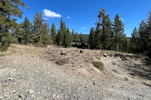 019-080-023-000 Groundhog Rock, Sierraville, CA 96126 - Photo 5