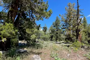 019-080-023-000 Groundhog Rock, Sierraville, CA 96126 - Photo 11