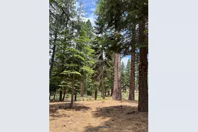 15411 Kent Drive, Truckee, CA 96161 - Photo 9