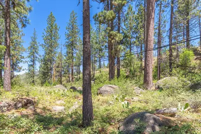 13020 Donner Pass Road, Truckee, CA 96161 - Photo 11