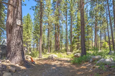 13020 Donner Pass Road, Truckee, CA 96161 - Photo 5