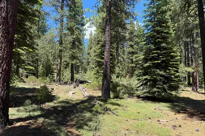 12510 Granite Drive, Truckee, CA 96161 - Photo 9