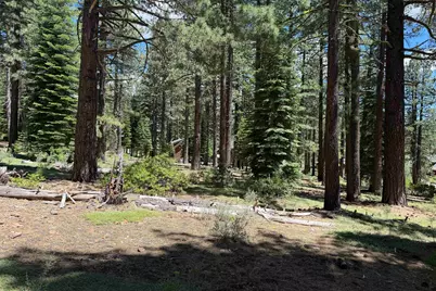 12510 Granite Drive, Truckee, CA 96161 - Photo 17