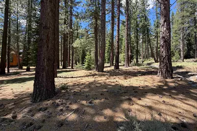 12510 Granite Drive, Truckee, CA 96161 - Photo 19