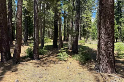 12510 Granite Drive, Truckee, CA 96161 - Photo 7