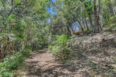 100 Carrier Circle, Sierra City, CA 96125 - Photo 19