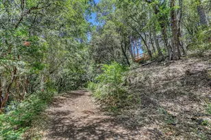 100 Carrier Cir, Sierra City, CA 96125 - Photo 19