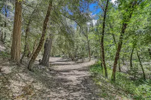 100 Carrier Cir, Sierra City, CA 96125 - Photo 21