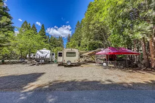 100 Carrier Cir, Sierra City, CA 96125 - Photo 11