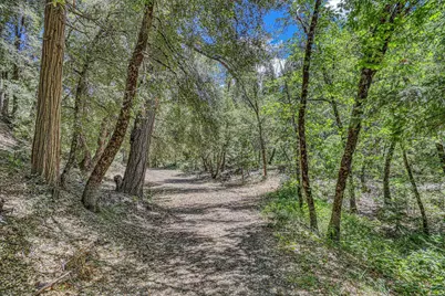 100 Carrier Circle, Sierra City, CA 96125 - Photo 21
