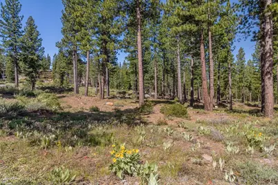 9517 Dunsmuir Way, Truckee, CA 96161 - Photo 3