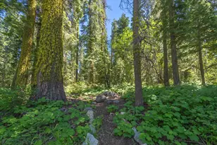 14801 Mt Judah Dr, Truckee, CA 96161 - Photo 19