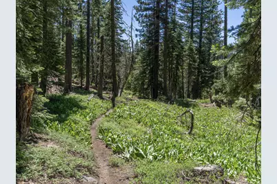 3090 River Road, Olympic Valley, CA 96146 - Photo 27