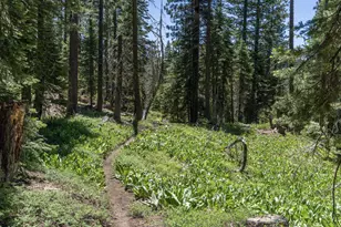 3090 River Rd, Olympic Valley, CA 96146 - Photo 27