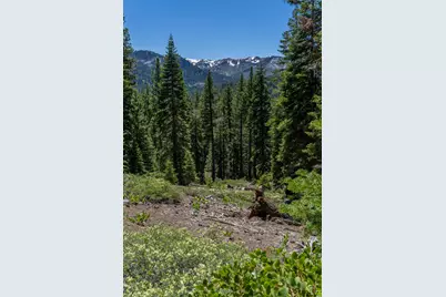 3090 River Road, Olympic Valley, CA 96146 - Photo 15