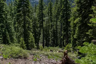 3090 River Rd, Olympic Valley, CA 96146 - Photo 15