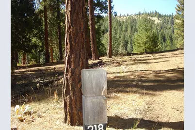 357 Big Grizzly, Portola, CA 96122 - Photo 3