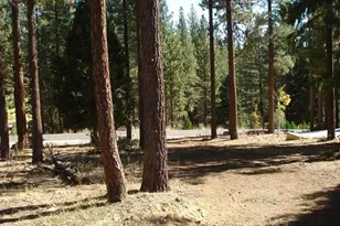 357 Big Grizzly, Portola, CA 96122 - Photo 1