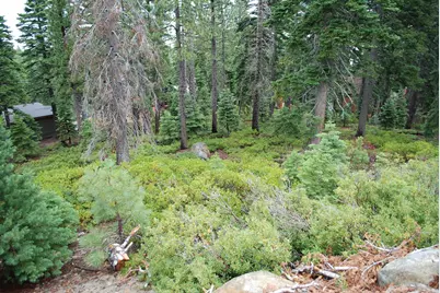 8974 Woodland Drive, Meeks Bay, CA 96142 - Photo 5