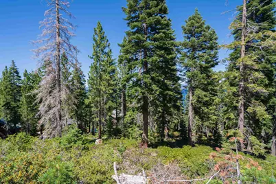 8974 Woodland Drive, Meeks Bay, CA 96142 - Photo 9