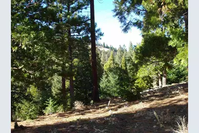 369 Big Grizzly Road, Portola, CA 96122 - Photo 3
